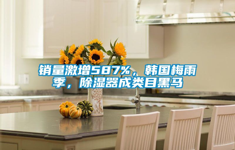 銷量激增587%，韓國梅雨季，除濕器成類目黑馬