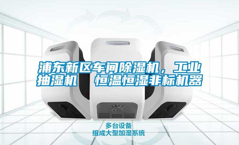 浦東新區(qū)車間除濕機(jī)，工業(yè)抽濕機(jī)  恒溫恒濕非標(biāo)機(jī)器