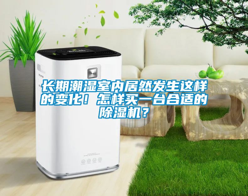 長期潮濕室內(nèi)居然發(fā)生這樣的變化！怎樣買一臺合適的除濕機？