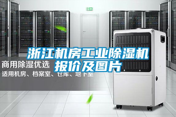 浙江機(jī)房工業(yè)除濕機(jī)報(bào)價及圖片