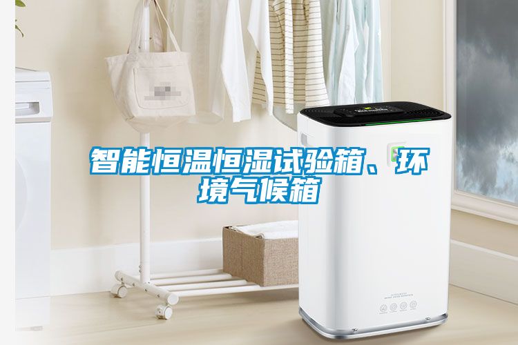 智能恒溫恒濕試驗(yàn)箱、環(huán)境氣候箱