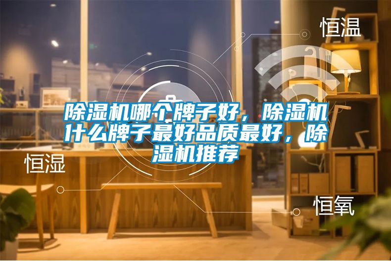除濕機哪個牌子好，除濕機什么牌子最好品質(zhì)最好，除濕機推薦