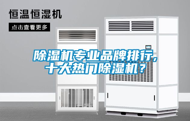 除濕機(jī)專(zhuān)業(yè)品牌排行,十大熱門(mén)除濕機(jī)？