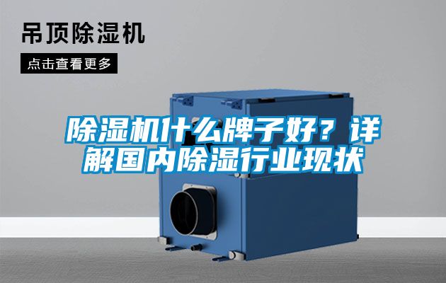 除濕機什么牌子好？詳解國內(nèi)除濕行業(yè)現(xiàn)狀