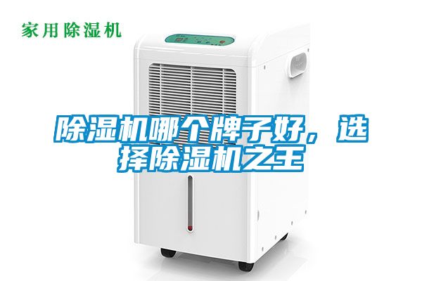 除濕機哪個牌子好，選擇除濕機之王