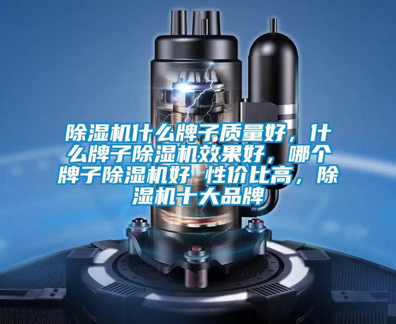 除濕機(jī)什么牌子質(zhì)量好，什么牌子除濕機(jī)效果好，哪個(gè)牌子除濕機(jī)好 性價(jià)比高，除濕機(jī)十大品牌