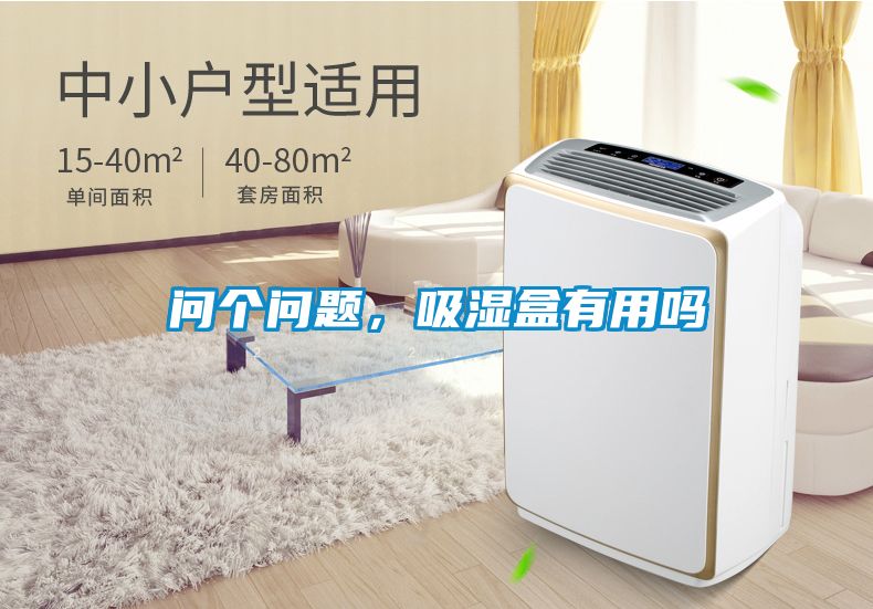 問個問題，吸濕盒有用嗎