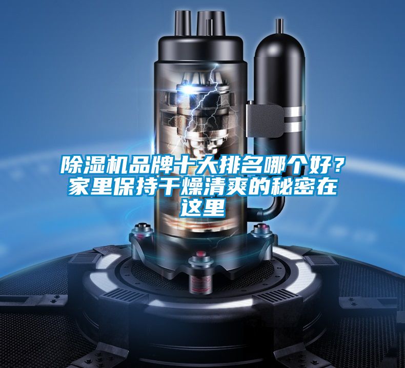 除濕機品牌十大排名哪個好？家里保持干燥清爽的秘密在這里