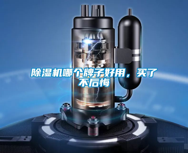 除濕機哪個牌子好用，買了不后悔