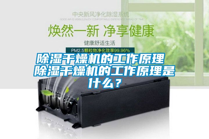 除濕干燥機(jī)的工作原理 除濕干燥機(jī)的工作原理是什么？