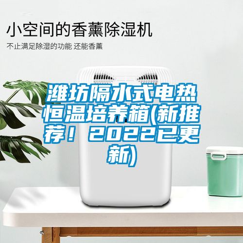 濰坊隔水式電熱恒溫培養(yǎng)箱(新推薦！2022已更新)