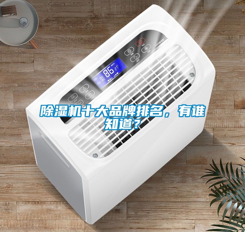 除濕機(jī)十大品牌排名，有誰(shuí)知道？