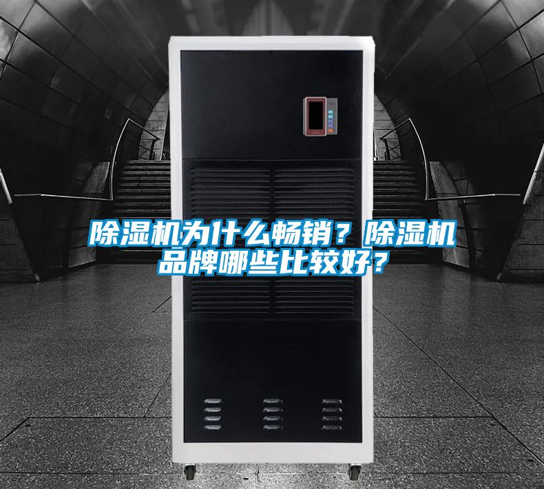 除濕機(jī)為什么暢銷(xiāo)？除濕機(jī)品牌哪些比較好？