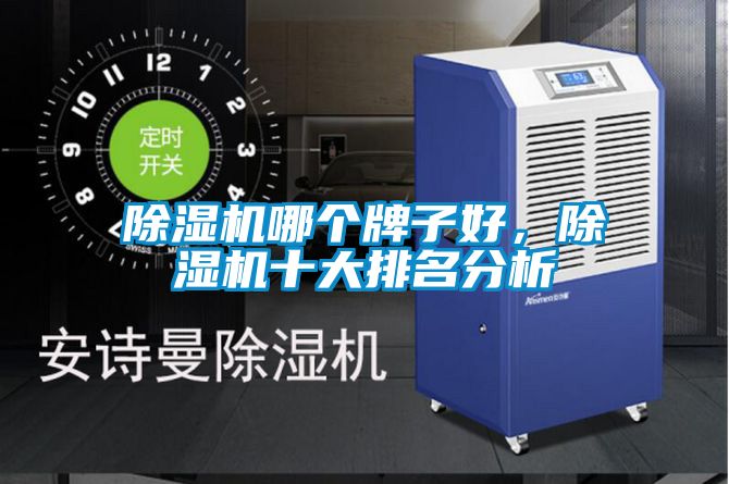 除濕機哪個牌子好，除濕機十大排名分析