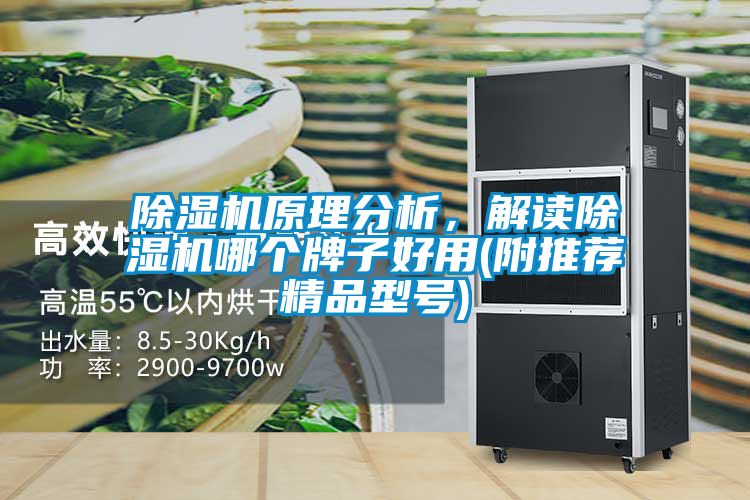 除濕機(jī)原理分析，解讀除濕機(jī)哪個(gè)牌子好用(附推薦精品型號(hào))