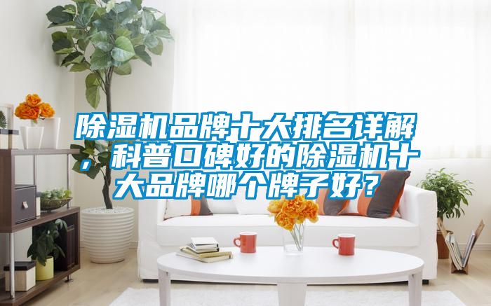 除濕機(jī)品牌十大排名詳解，科普口碑好的除濕機(jī)十大品牌哪個牌子好？