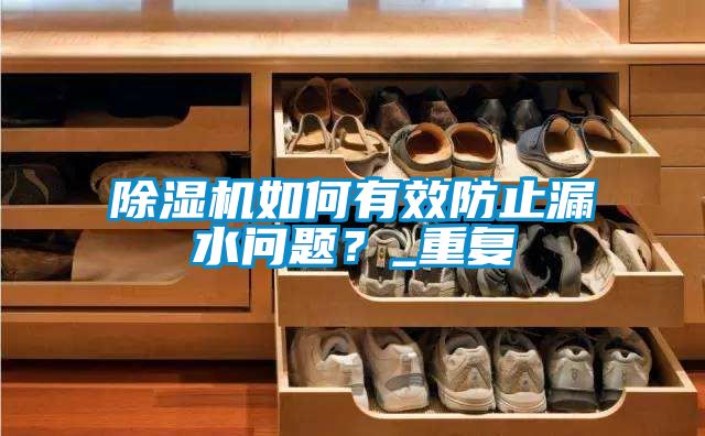 除濕機(jī)如何有效防止漏水問題？_重復(fù)