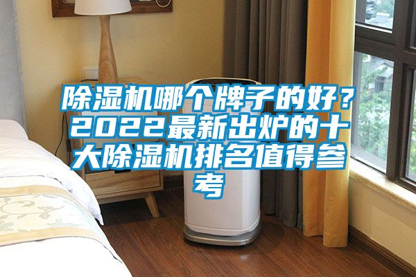 除濕機(jī)哪個(gè)牌子的好？2022最新出爐的十大除濕機(jī)排名值得參考