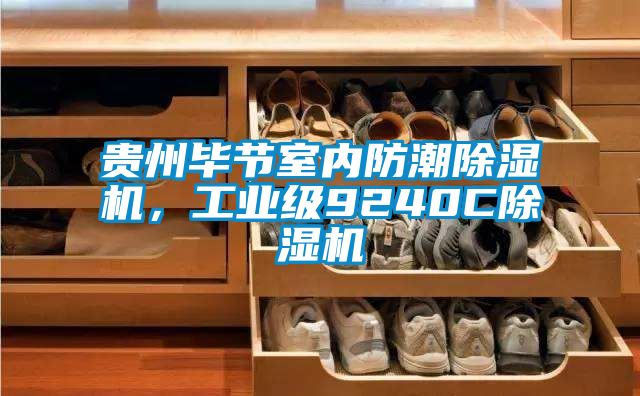 貴州畢節(jié)室內(nèi)防潮除濕機(jī)，工業(yè)級(jí)9240C除濕機(jī)