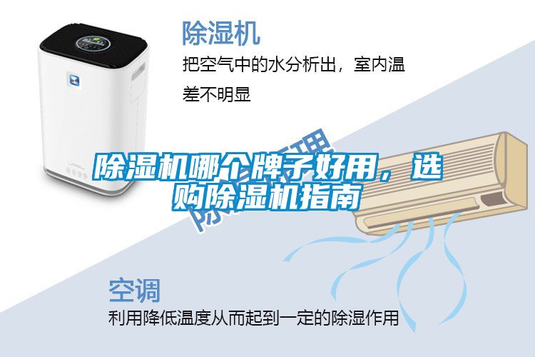 除濕機哪個牌子好用，選購除濕機指南