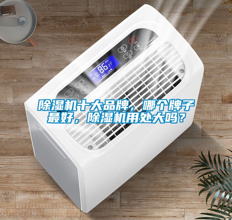 除濕機十大品牌，哪個牌子最好，除濕機用處大嗎？