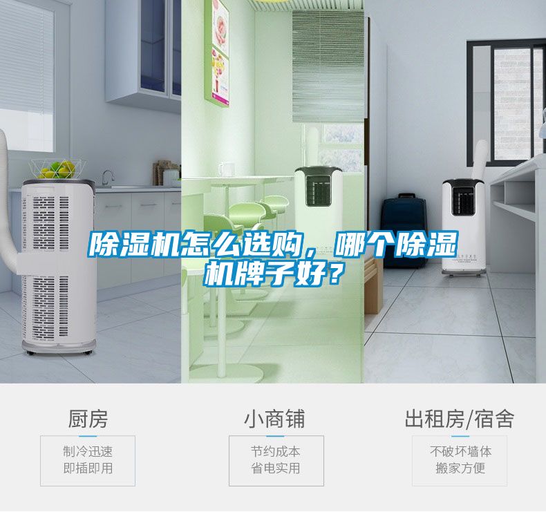 除濕機(jī)怎么選購(gòu)，哪個(gè)除濕機(jī)牌子好？
