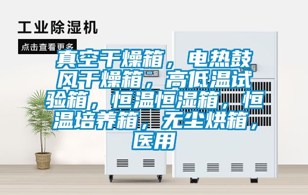 真空干燥箱，電熱鼓風(fēng)干燥箱，高低溫試驗(yàn)箱，恒溫恒濕箱，恒溫培養(yǎng)箱，無塵烘箱，醫(yī)用