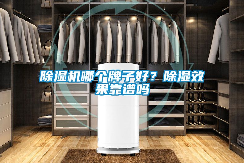 除濕機(jī)哪個(gè)牌子好？除濕效果靠譜嗎