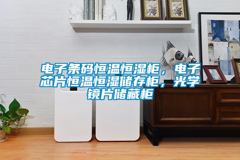 電子條碼恒溫恒濕柜，電子芯片恒溫恒濕儲存柜，光學(xué)鏡片儲藏柜