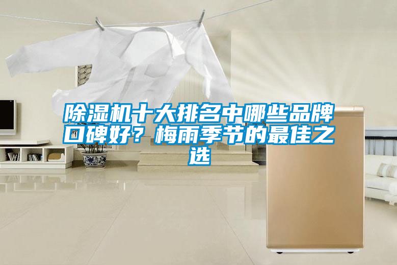 除濕機十大排名中哪些品牌口碑好？梅雨季節(jié)的最佳之選
