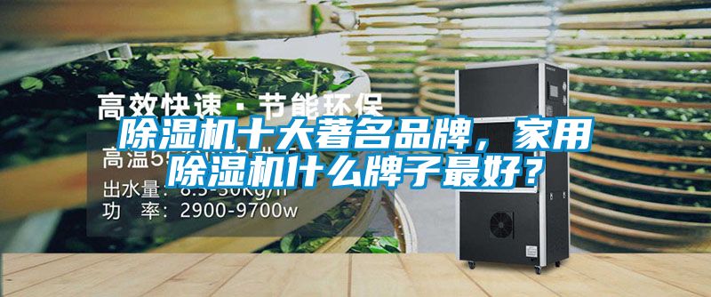 除濕機(jī)十大著名品牌，家用除濕機(jī)什么牌子最好？