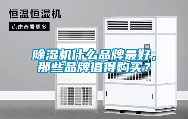除濕機(jī)什么品牌最好，那些品牌值得購(gòu)買(mǎi)？