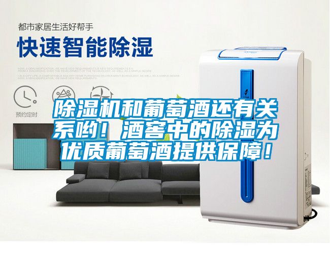除濕機和葡萄酒還有關系喲！酒窖中的除濕為優(yōu)質葡萄酒提供保障！