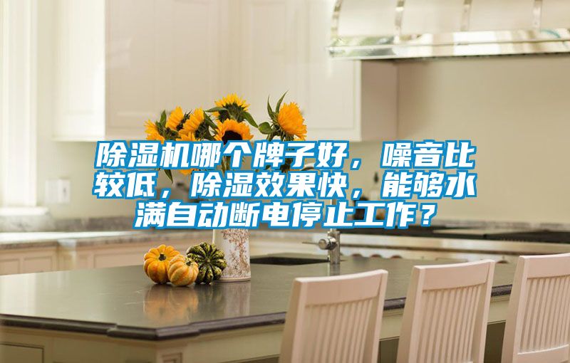 除濕機哪個牌子好，噪音比較低，除濕效果快，能夠水滿自動斷電停止工作？