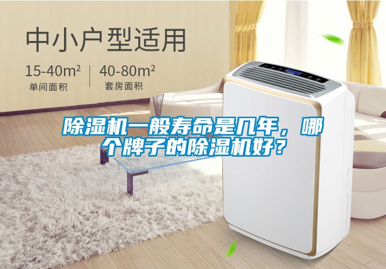 除濕機一般壽命是幾年，哪個牌子的除濕機好？