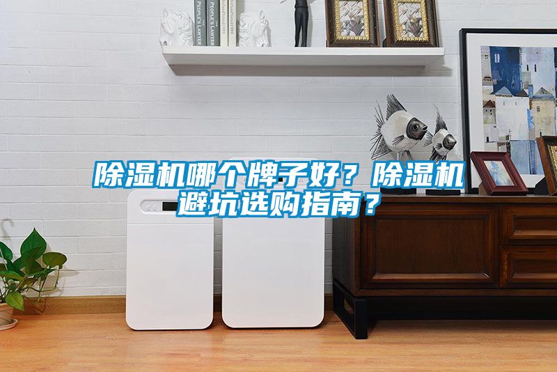 除濕機(jī)哪個(gè)牌子好？除濕機(jī)避坑選購指南？
