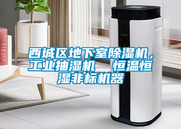 西城區(qū)地下室除濕機，工業(yè)抽濕機  恒溫恒濕非標(biāo)機器