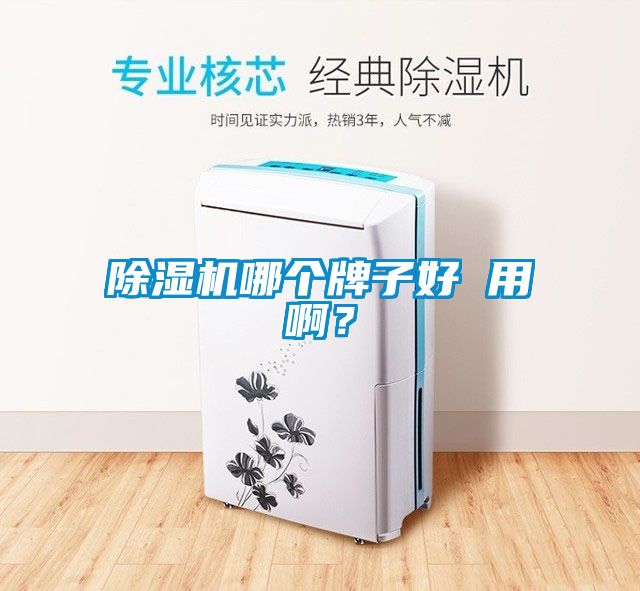 除濕機哪個牌子好 用??？