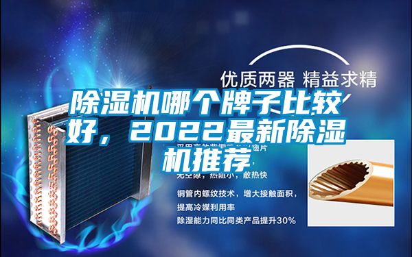除濕機哪個牌子比較好，2022最新除濕機推薦