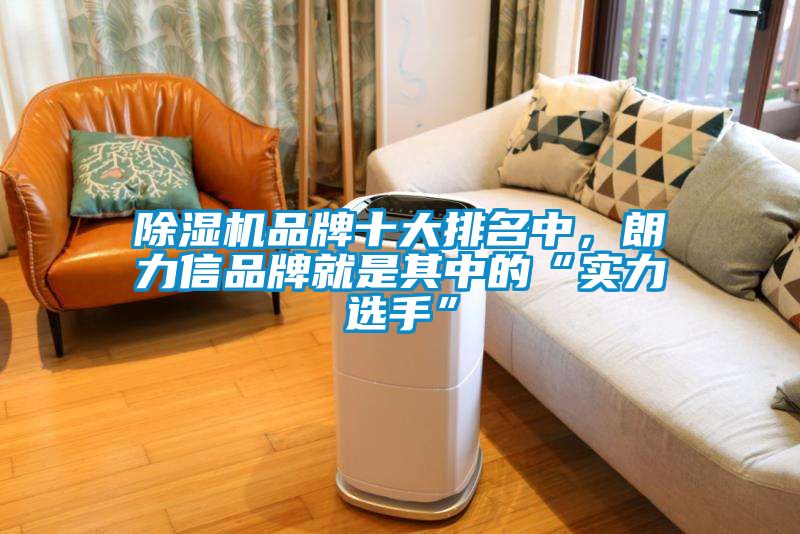 除濕機(jī)品牌十大排名中，朗力信品牌就是其中的“實(shí)力選手”