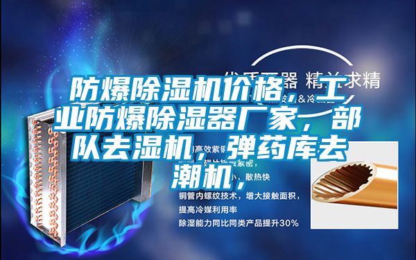 防爆除濕機(jī)價(jià)格，工業(yè)防爆除濕器廠家，部隊(duì)去濕機(jī)，彈藥庫去潮機(jī)，