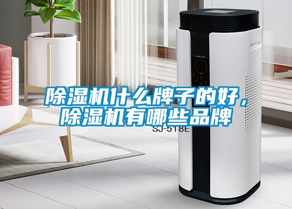 除濕機(jī)什么牌子的好，除濕機(jī)有哪些品牌