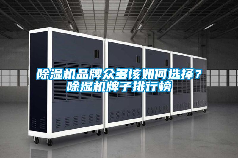 除濕機品牌眾多該如何選擇？除濕機牌子排行榜