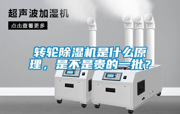 轉(zhuǎn)輪除濕機(jī)是什么原理，是不是貴的一批？