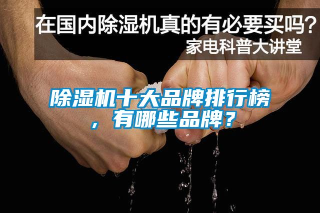 除濕機十大品牌排行榜，有哪些品牌？