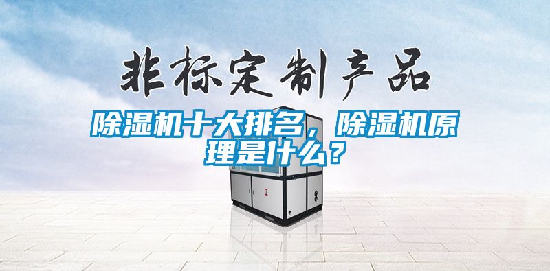 除濕機十大排名，除濕機原理是什么？