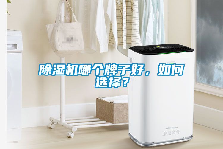 除濕機哪個牌子好，如何選擇？