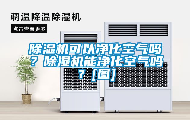除濕機可以凈化空氣嗎？除濕機能凈化空氣嗎？[圖]