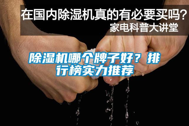 除濕機(jī)哪個牌子好？排行榜實(shí)力推薦