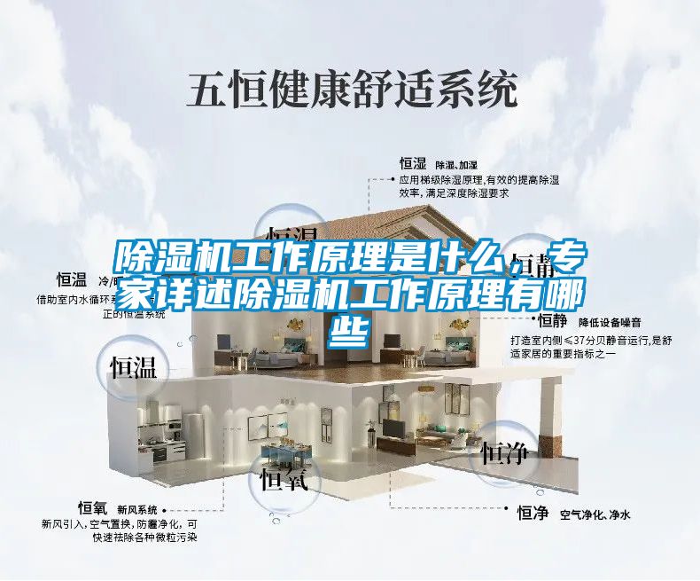 除濕機工作原理是什么，專家詳述除濕機工作原理有哪些